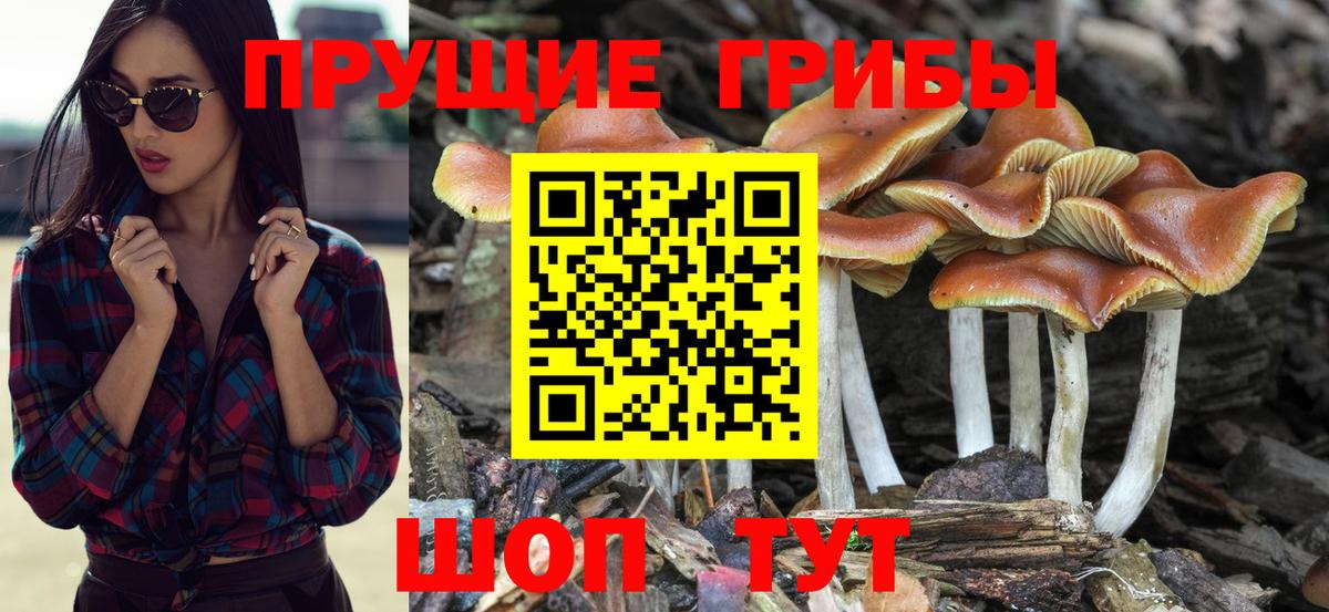 Галлюциногенные грибы MAGIC MUSHROOMS  Вход с VPN  Тобольск 